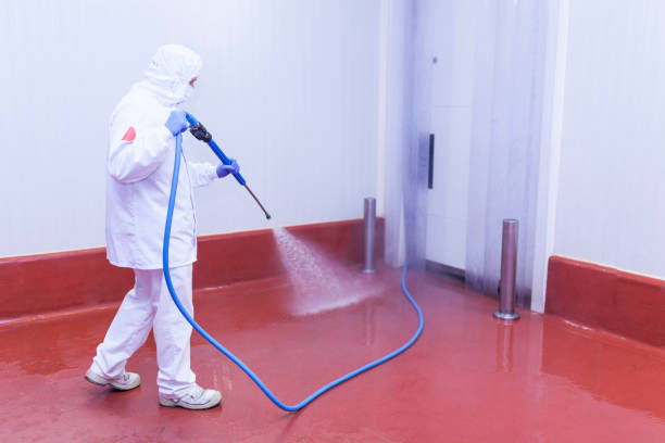 Best Warehouse Cleaning  in Radisson, NY