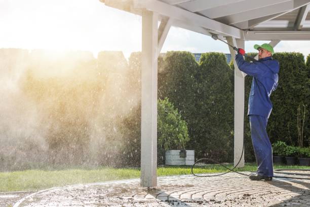 Best Gutter Cleaning  in Radisson, NY
